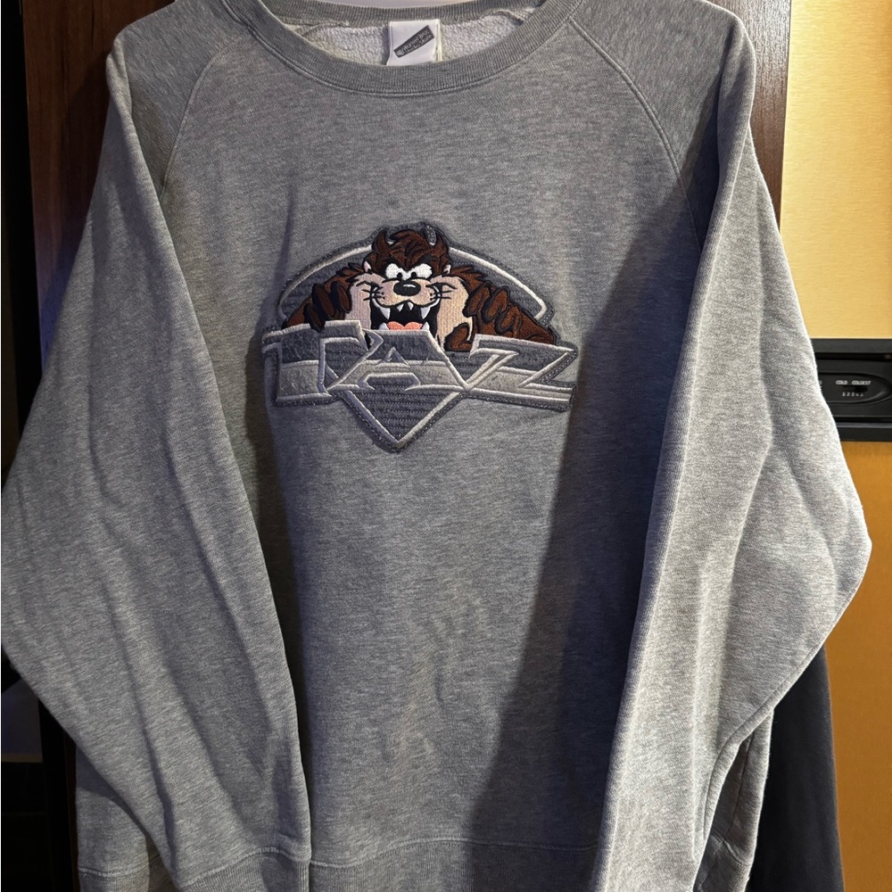 Warner Bros. Gray Sweatshirt